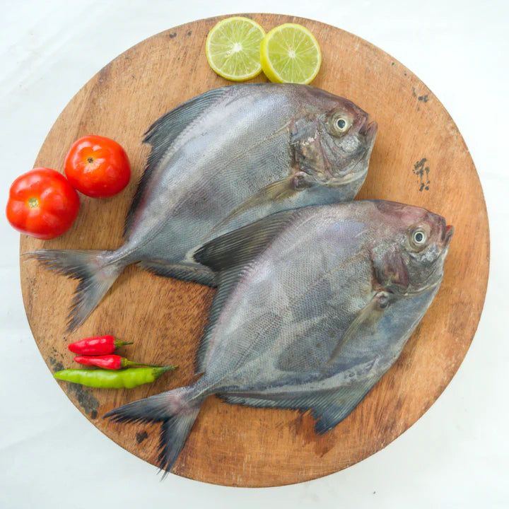 Pomfret