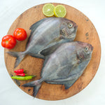 Pomfret